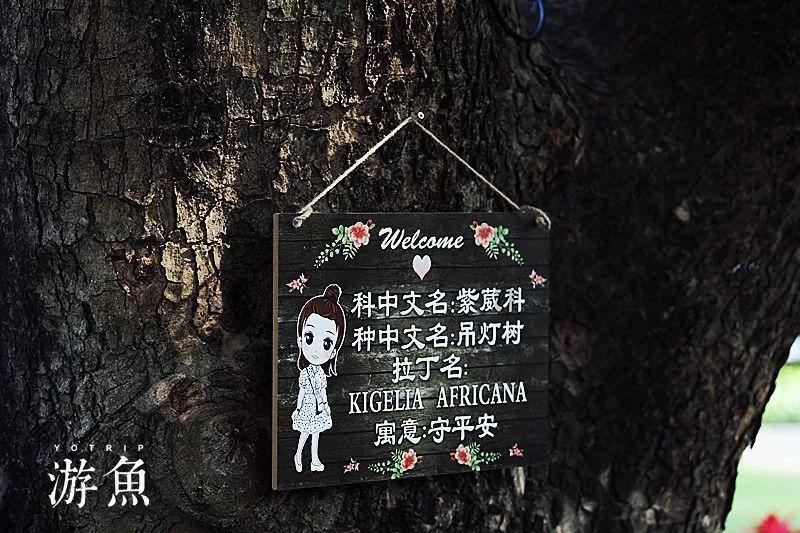 补救措施