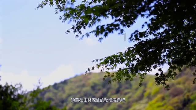 上学迟到